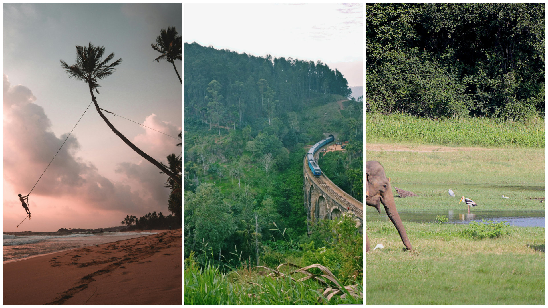 South Road Trips - Vehicle Rental & Tours in Sri Lanka | Premium ...